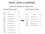 clean, format, and automate excel or CSV data using excel and python