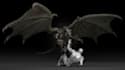 design 3d animal model, pet, dragon and dinosaur creature model 3d animation