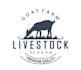 do modern professional gorgeous goat logo