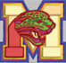 do hat t shirt  design