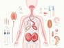 draw your medical illustration