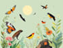 draw wild life in scientific illustration