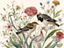 draw an animal and botanical illustration