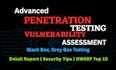 provide advanced penetration testing and vulnerability assessment