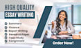 do assignment as a professional assignment writer