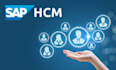 do sap abap development of hcm HR module implementation