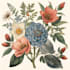 create beautiful botanical or floral illustration
