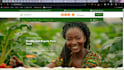 create a responsive and SEO friendly website design