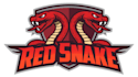 design modern red snake logo with creative concepts
