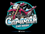 design a modern and professional car logo