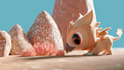 work on 3d projects, assets, environments, renders and more