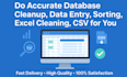 do accurate database cleanup, data entry, sorting, excel cleaning, CSV for you
