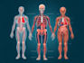 create medical and anatomical illustrations