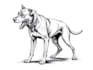 do a highly detailed graphic line art and sketch
