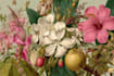 illustrate best botanical illustration