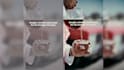 design dynamic edits for instagram tiktok and youtube