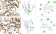 do molecular docking, 2d 3d interactions, and admet analysis