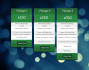 develop or design a responsive pricing table