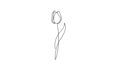 create minimalist continuous line art animation