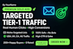 run guarantee 25000x affiliate website clicks targeted solo ads campaign