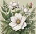 make botanical product illustration
