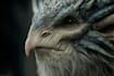 make a creature concept for your story or game
