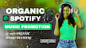 grow your spotify streams with organic audience targeting