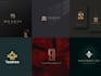 do modern brand logo design for your business