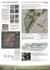 design creative layouts portfolios and books indesign