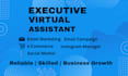 be executive virtual assistant email marketing ecommerce social media manager