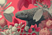 draw high quality animal, insect, and botanical art