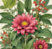 do botanical illustration art for you