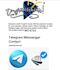 content writer on wordpress blogs