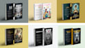 design a professional book cover and ebook cover
