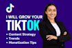 grow your tik tok with content strategy, trends, and monetization tips
