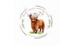 design whimsical barn logo