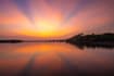 create cinematic ai videos from real nature photography