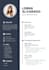 write your CV, resume, cover letter and optimize linkedin
