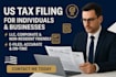 do US tax filing, US tax returns, llc tax, business tax, corporate tax filings
