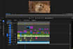 professionally edit videos in adobe premiere pro