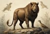illustrations of animals scientific or wildlife