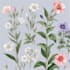 illustrate best botanical illustration