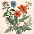 illustrate best botanical illustration