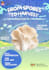 design creative canva posters, flyers brochure and slides