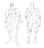 create full character design