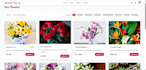 create a beautiful and fully functional ecommerce website