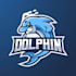 design dolphin logo illustration with hand drawn style