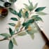 draw realistic botanical illustration
