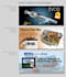 create your graphic design