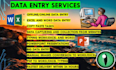 data entry, web research and spreadsheet management